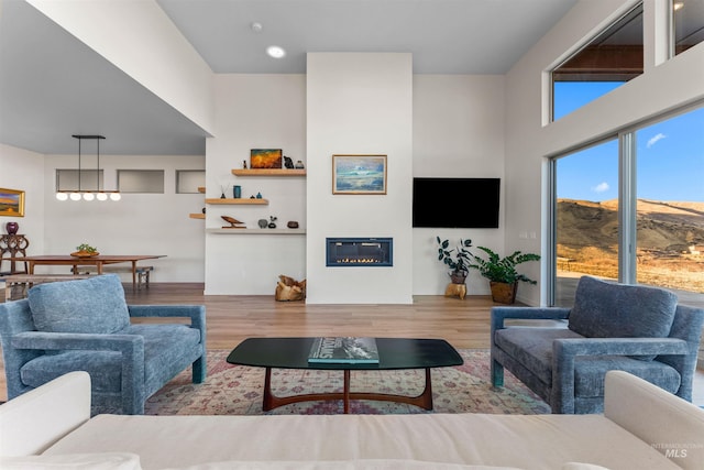 living area featuring wood finished floors and a glass covered fireplace