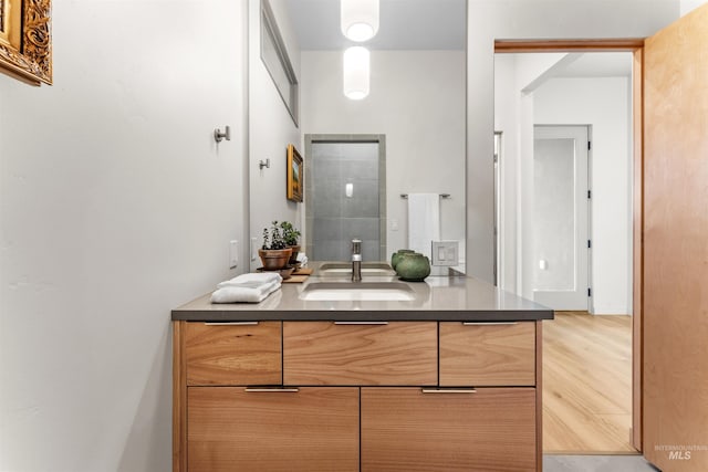 bathroom featuring wood finished floors and vanity