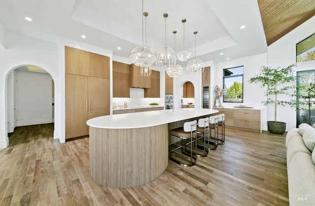 680 N Delehaye Ave, Eagle, ID 83616 - kitchen with light countertops, arched walkways, modern cabinets, and a tray ceiling