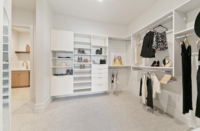 680 N Delehaye Ave, Eagle, ID 83616 - walk in closet with a sink and carpet