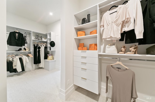 680 N Delehaye Ave, Eagle, ID 83616 - walk in closet featuring carpet floors