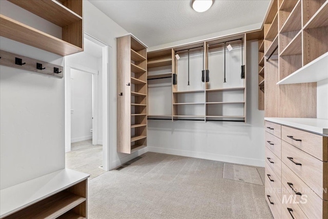 3436 N Mayberry Way, Eagle, ID 83616 - spacious closet with light carpet