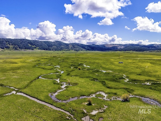 17 Gray Ln, Cascade, ID 83611