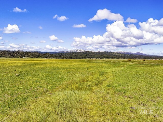 17 Gray Ln, Cascade, ID 83611