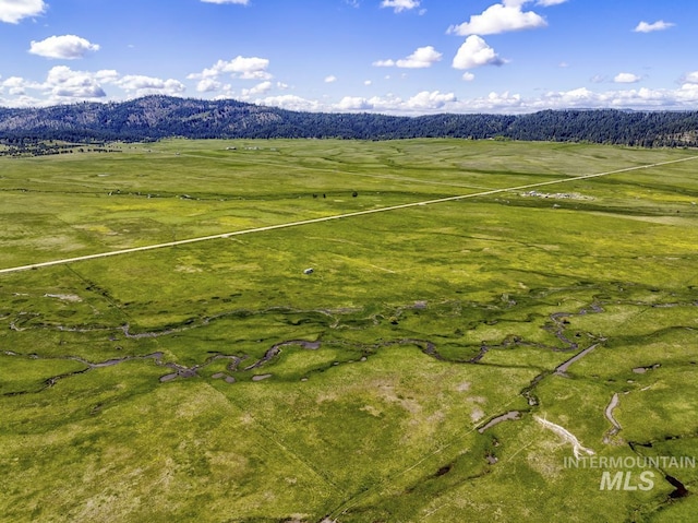 17 Gray Ln, Cascade, ID 83611
