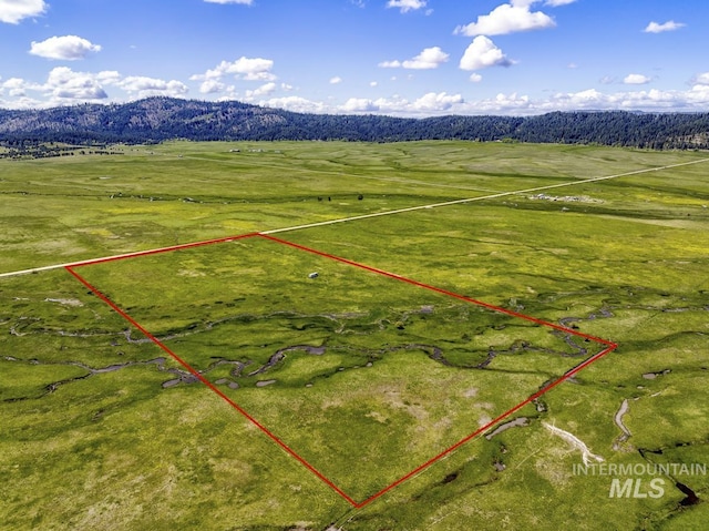 17 Gray Ln, Cascade, ID 83611