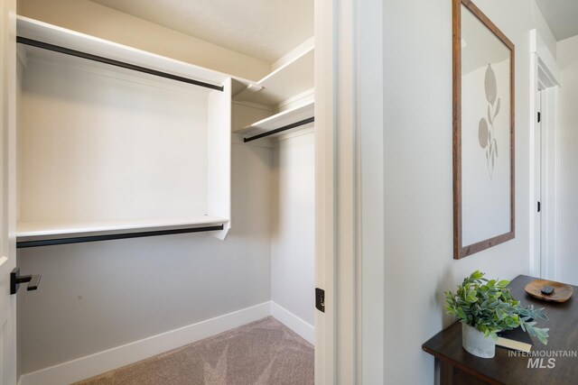 1154 S Barberry Pl, Nampa, ID 83686 - walk in closet with carpet floors