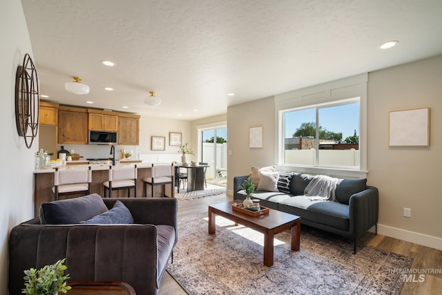 1154 S Barberry Pl, Nampa, ID 83686 - living room with recessed lighting, wood finished floors, baseboards, and a textured ceiling