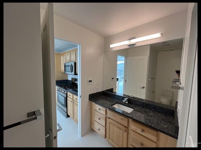 199 N Capitol Blvd, Boise, ID 83702 - bathroom featuring vanity and toilet