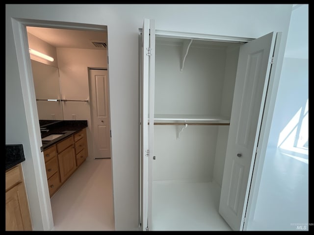 199 N Capitol Blvd, Boise, ID 83702 - closet with a sink