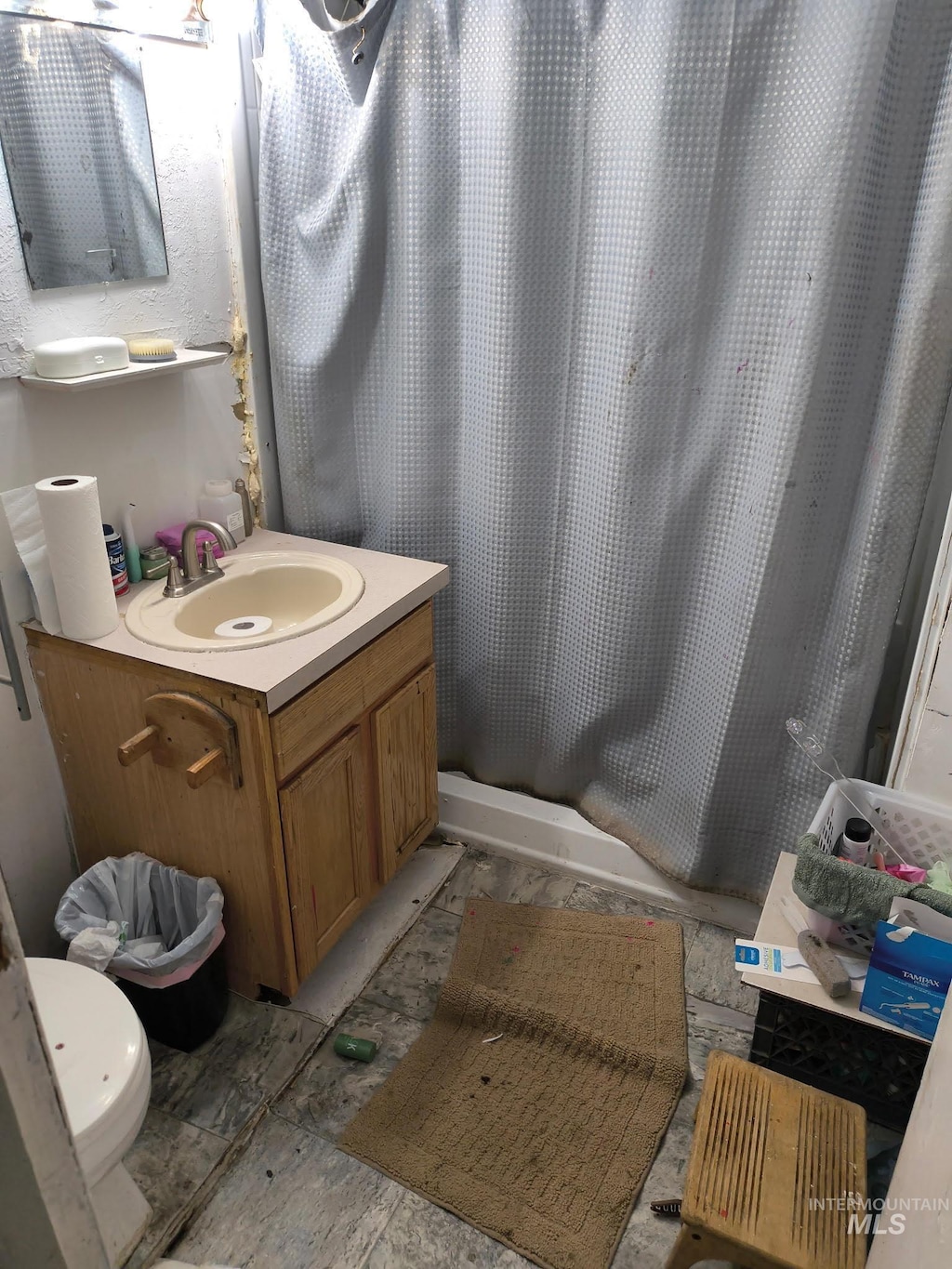full bath featuring toilet, vanity, and a shower with curtain
