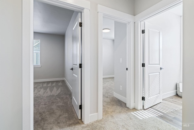 hallway featuring baseboards and carpet floors