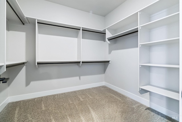 spacious closet with carpet flooring