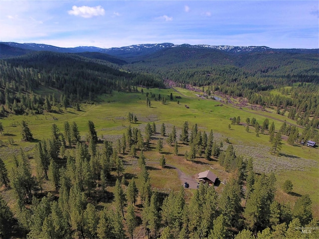 birds eye view of property featuring a rural view and a mountain view