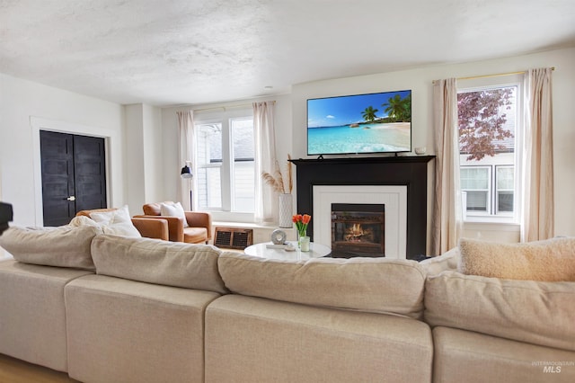 312 4th Ave, Lewiston, ID 83501 - living area featuring a glass covered fireplace and plenty of natural light