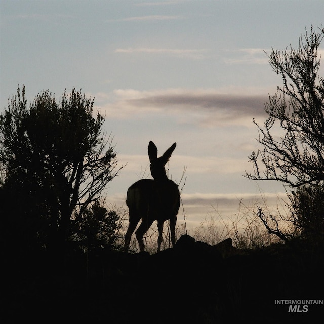 view of nature at dusk