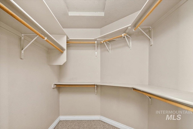 8613 W Thunder Mountain Dr, Boise, ID 83709 - walk in closet featuring carpet