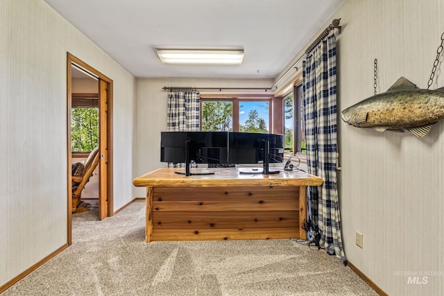 14060 Deerfield, Mccall, ID 83638 - office area with carpet floors and baseboards