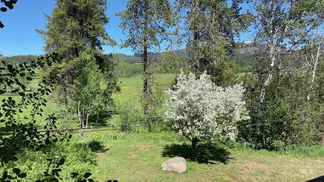 14060 Deerfield, Mccall, ID 83638 - view of nature