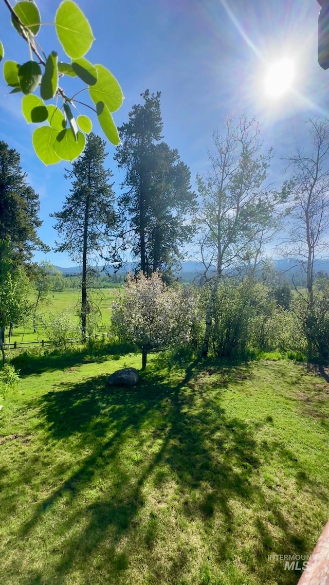 14060 Deerfield, Mccall, ID 83638 - view of green lawn