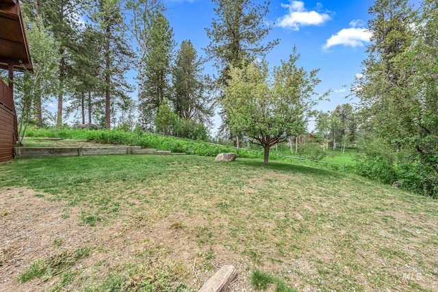 14060 Deerfield, Mccall, ID 83638 - view of green lawn