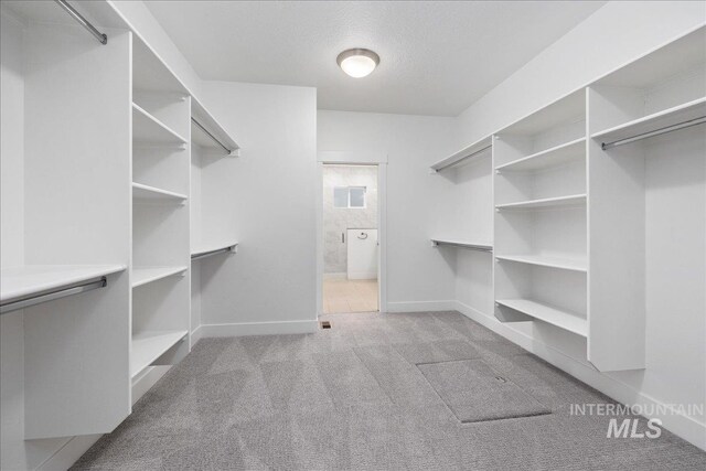 spacious closet with carpet floors