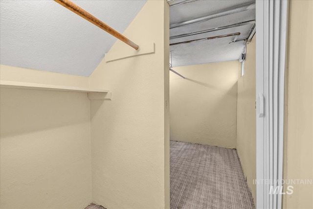 3205 W Crescent Rim Dr, Boise, ID 83706 - walk in closet featuring carpet floors and lofted ceiling