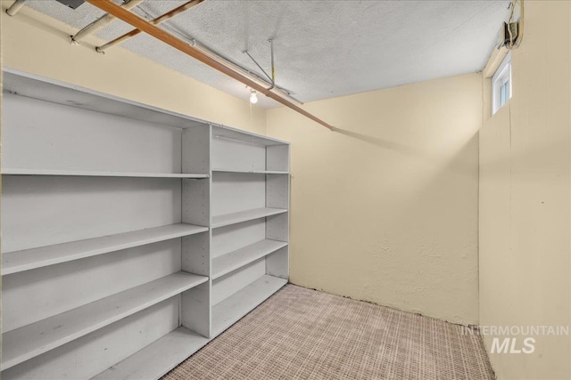 3205 W Crescent Rim Dr, Boise, ID 83706 - view of storage area