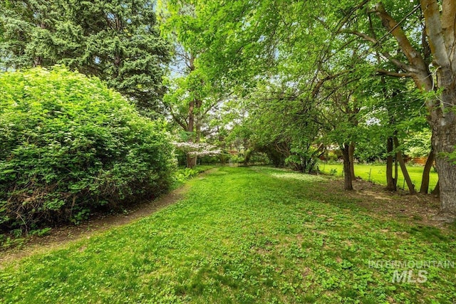 3205 W Crescent Rim Dr, Boise, ID 83706 - view of green lawn
