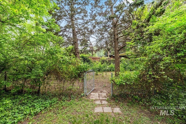 3205 W Crescent Rim Dr, Boise, ID 83706 - view of yard with fence and a gate
