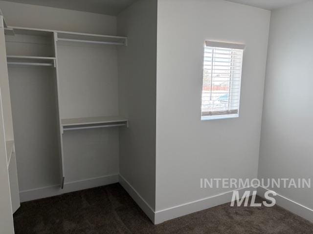 spacious closet with dark colored carpet