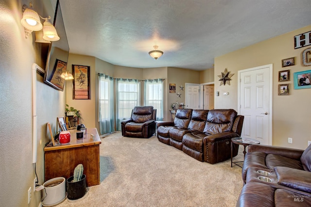 28284 Tudie Ln, Parma, ID 83660 - living room featuring carpet