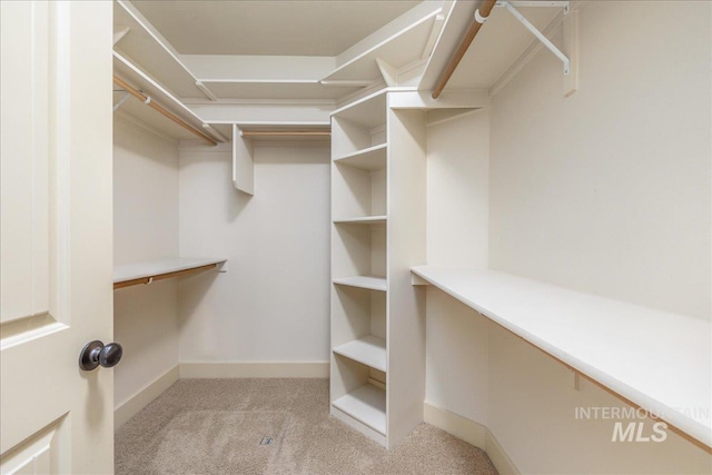 2895 E Shadowwolf Dr, Eagle, ID 83616 - walk in closet with light colored carpet