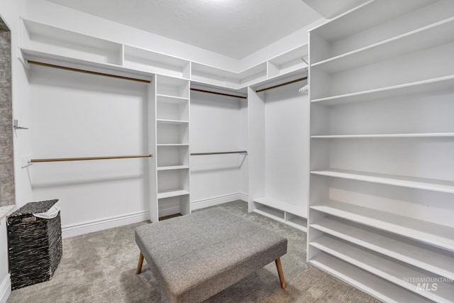 930 W Wanda Ln, Heyburn, ID 83336 - walk in closet with carpet floors