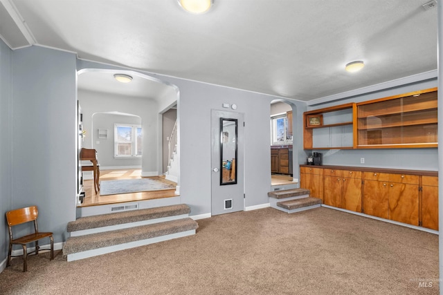 kitchen with carpet floors