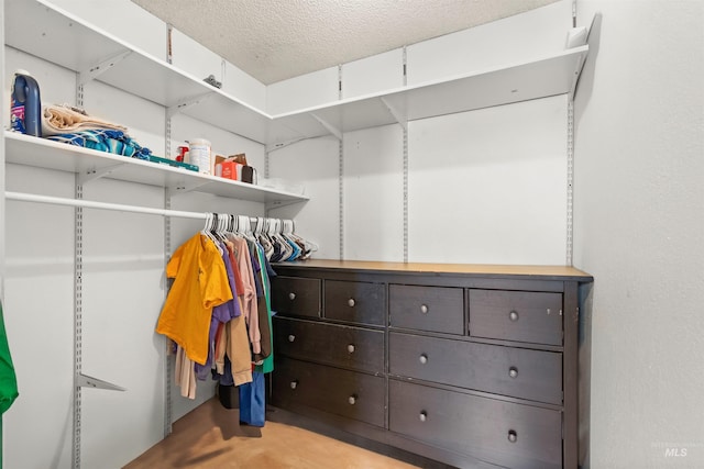 view of spacious closet