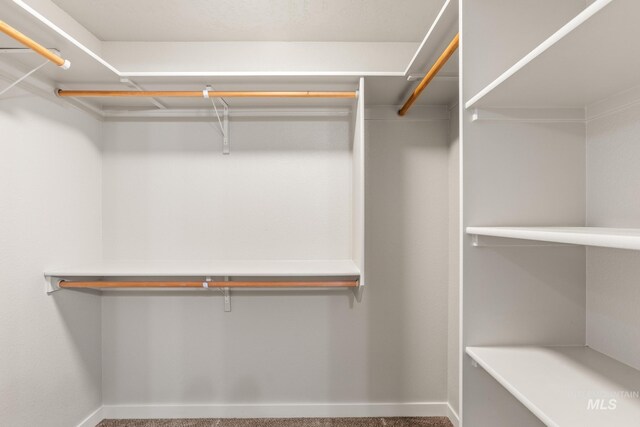 spacious closet with carpet flooring