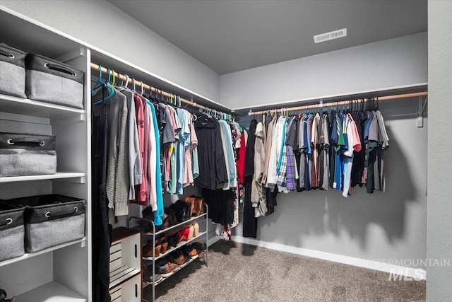 spacious closet featuring visible vents and carpet floors