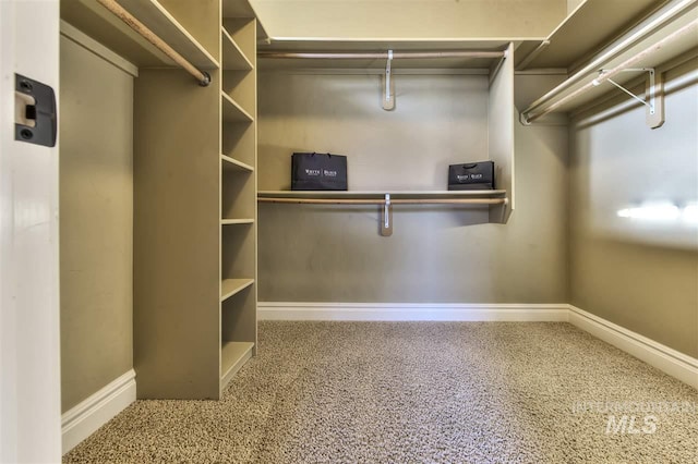 view of spacious closet