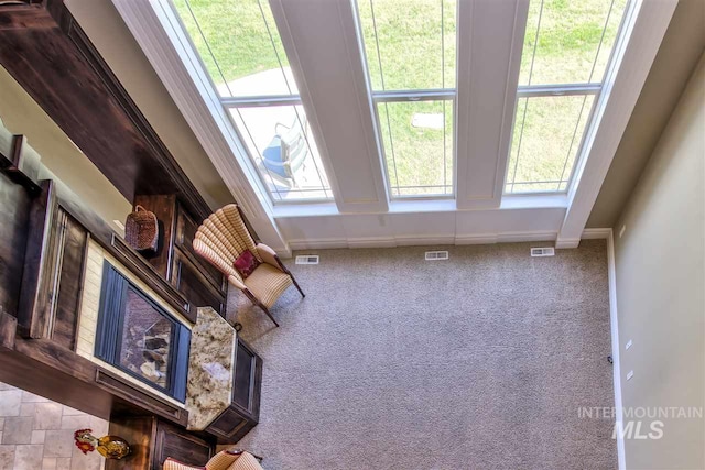 unfurnished room with visible vents and carpet flooring