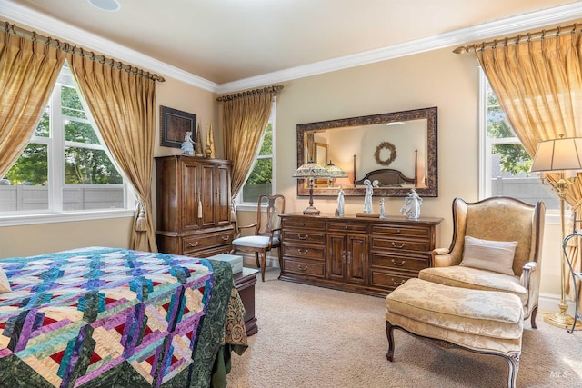455 Coiner Cir, Twin Falls, ID 83301 - bedroom featuring light carpet and crown molding