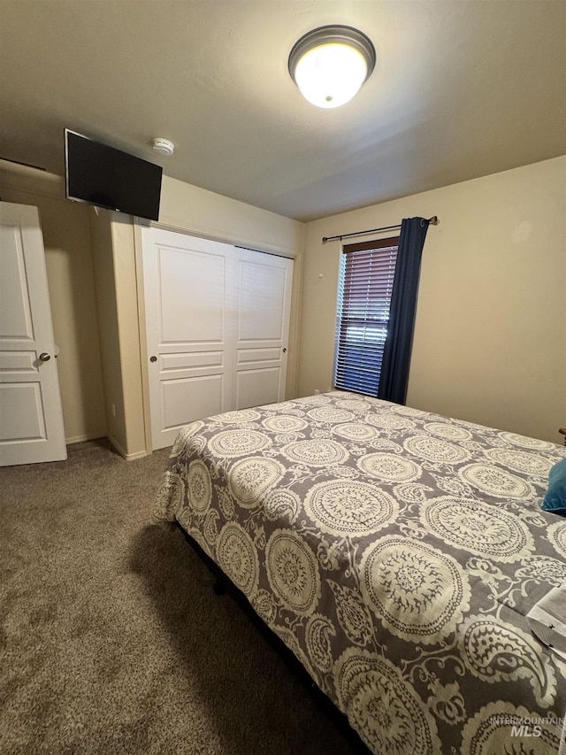 1309 Golden Pheasant Dr, Twin Falls, ID 83301 - carpeted bedroom featuring a closet