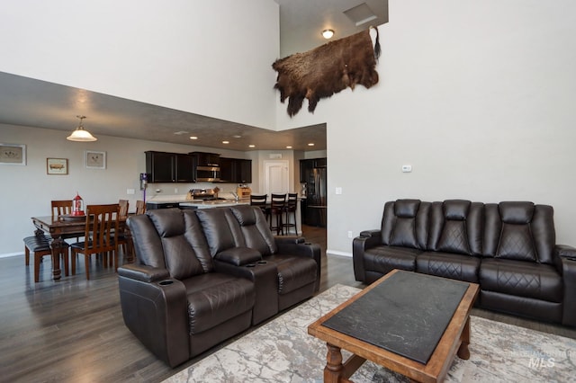 living room with wood-type flooring and a towering ceiling