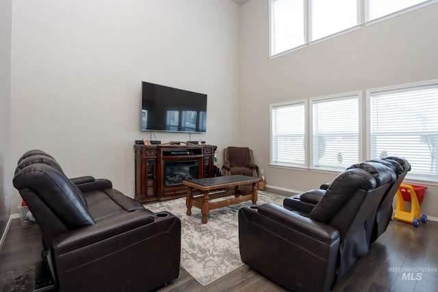 living room featuring dark hardwood / wood-style floors