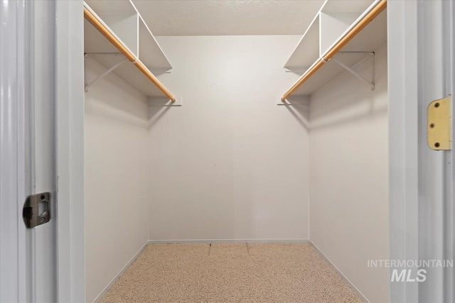 view of walk in closet
