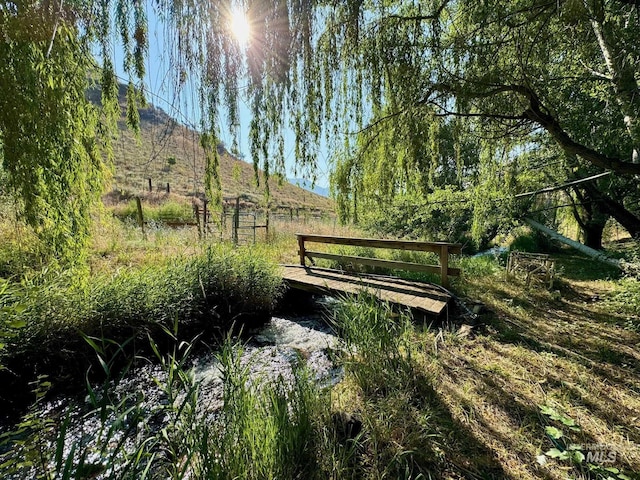 384 Race Creek Rd, Riggins, ID 83549 - mountain view