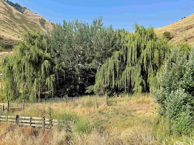 view of local wilderness with a mountain view