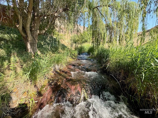 view of local wilderness with a water view