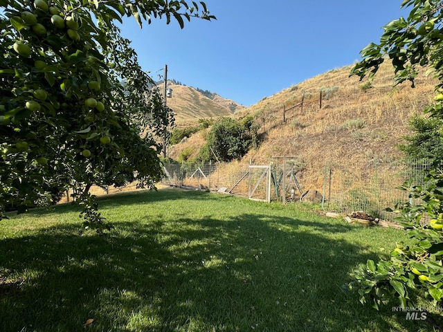 view of yard with a rural view and a mountain view