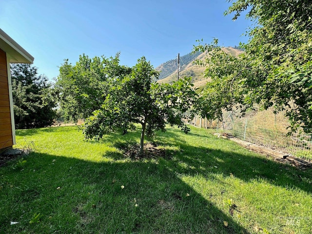 view of yard featuring a mountain view